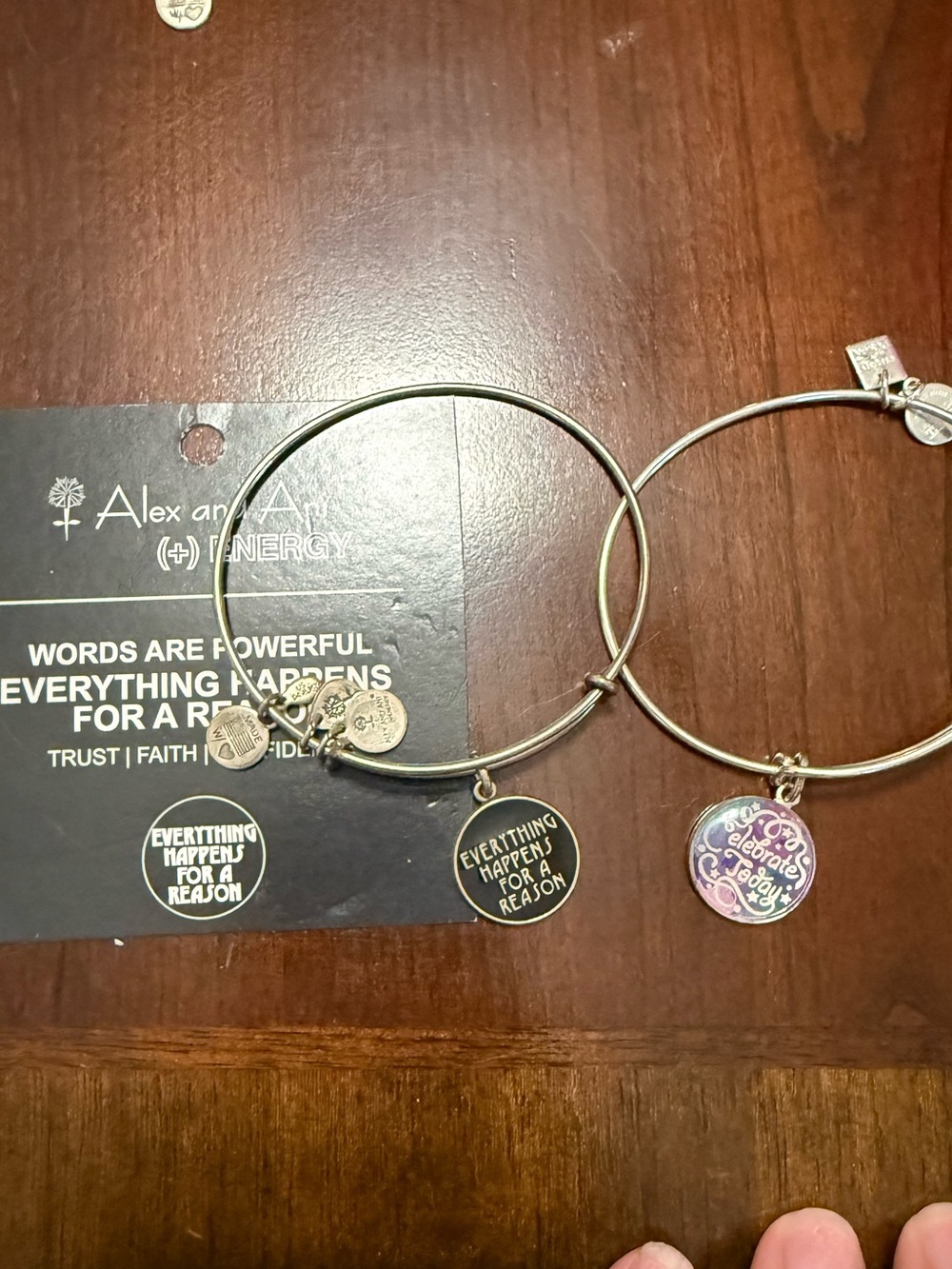 Alex and Ani Silver Tone Bangle Bracelet Set with Black and Iridescent Charms